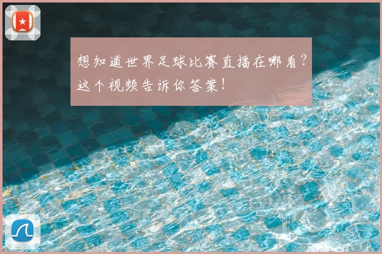 想知道世界足球比赛直播在哪看？这个视频告诉你答案！
